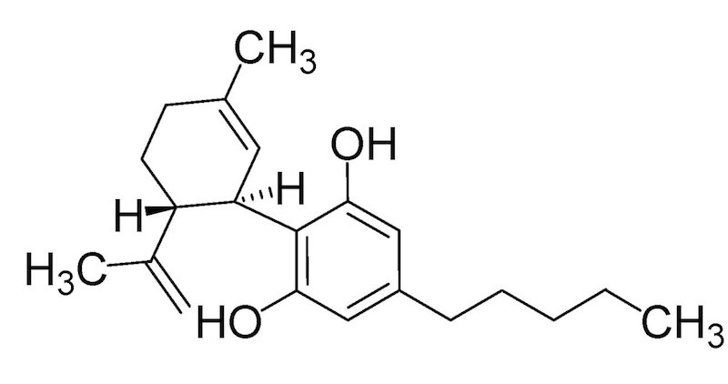 types of cannabinoids